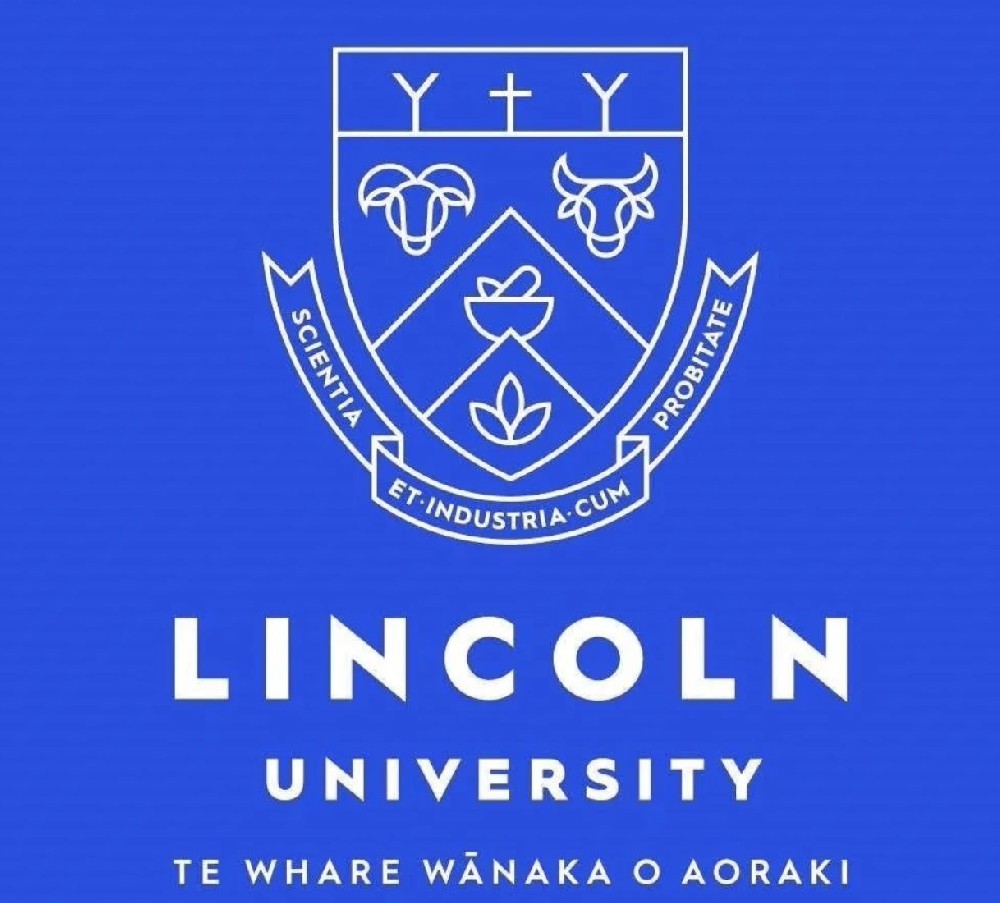 林肯大学